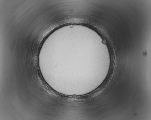 X0000115171073200912091018