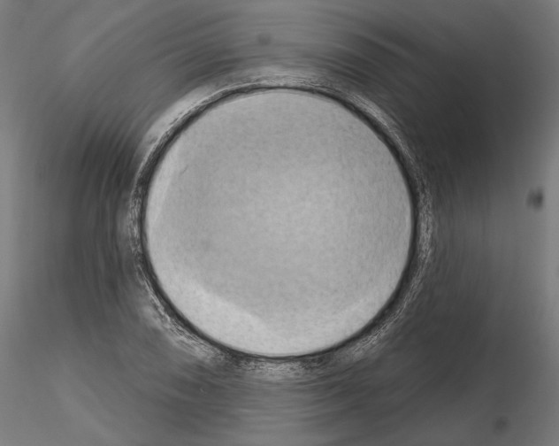 X0000115171074200912091018