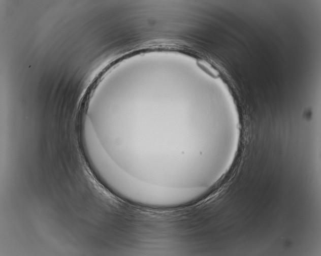 X0000115171075200912091018