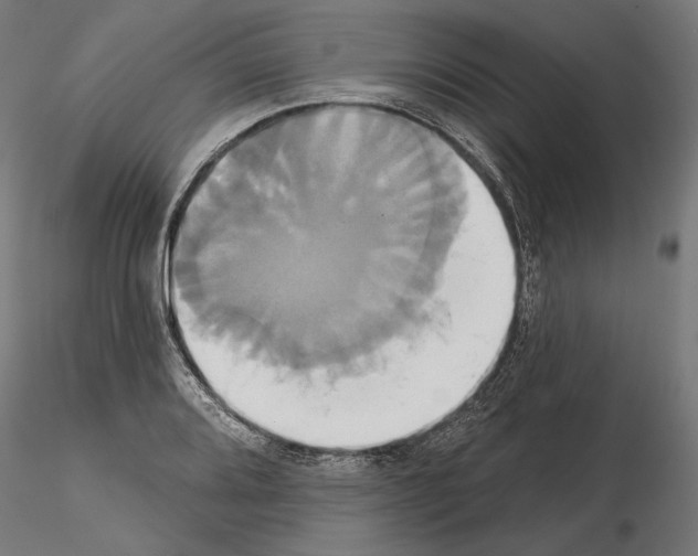 X0000115171080200912091018