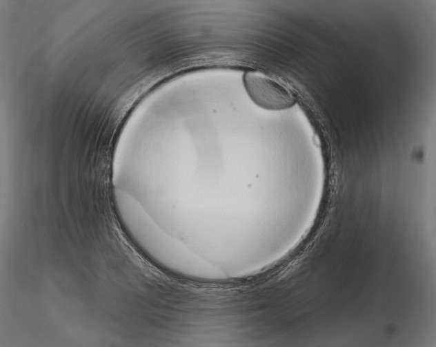 X0000115171081200912091018