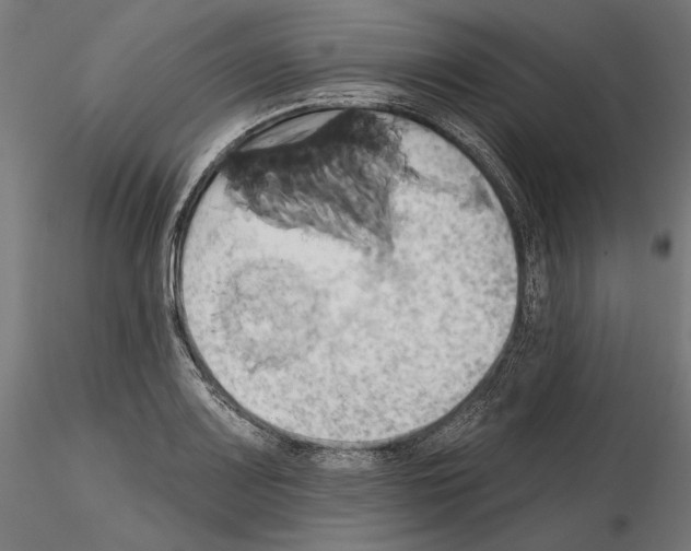 X0000115171083200912091018