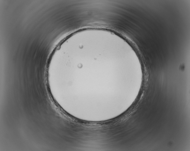 X0000115171085200912091018