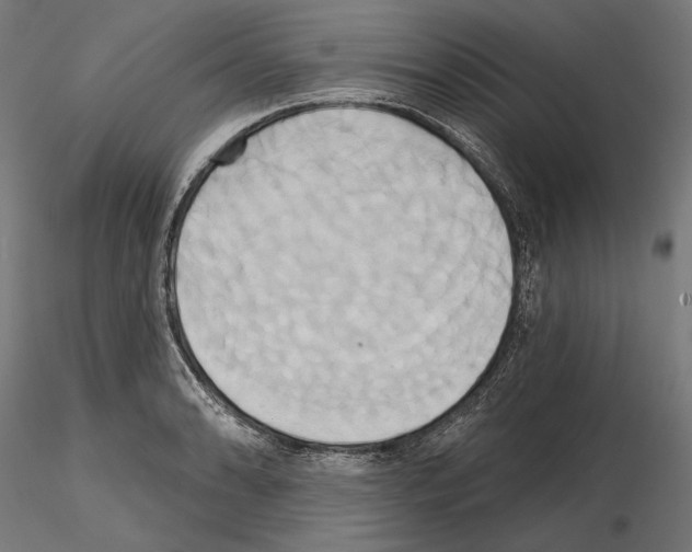 X0000115171086200912091018