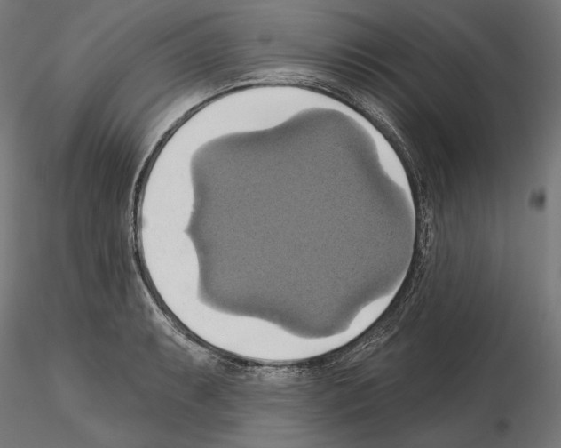 X0000115171087200912091018