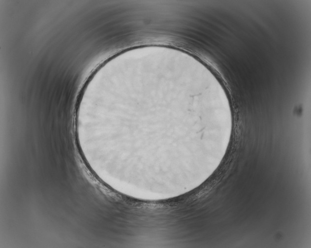 X0000115171088200912091018