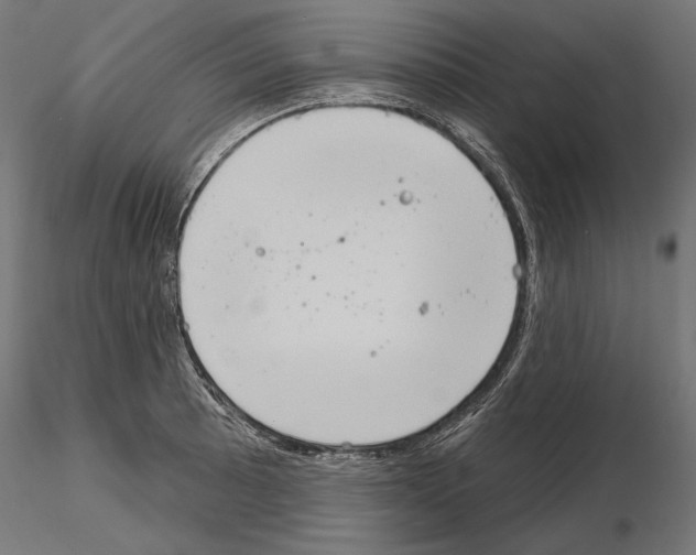 X0000115171089200912091018