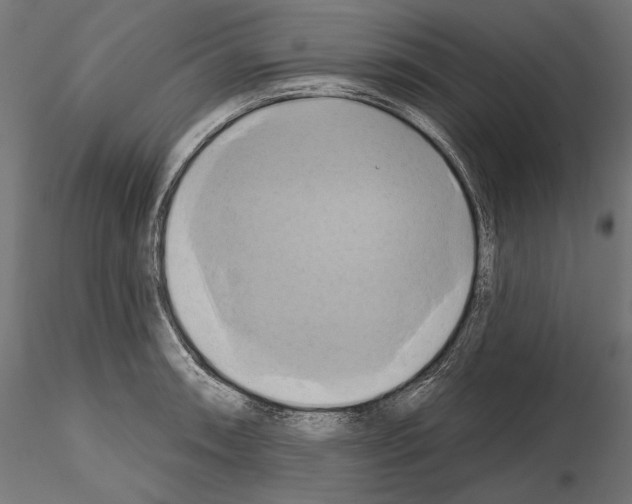 X0000115171090200912091018