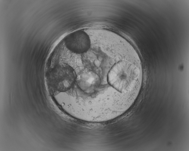 X0000115171091200912091018