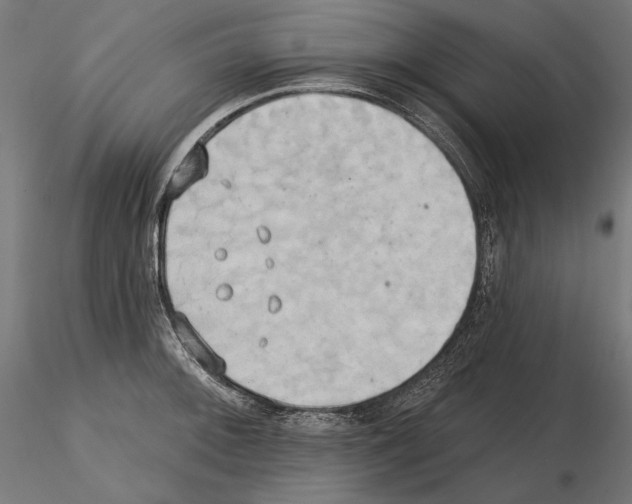 X0000115171092200912091017