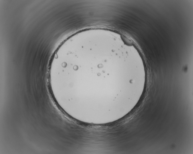 X0000115171093200912091017