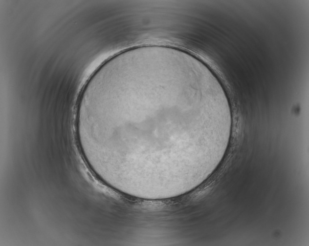 X0000115171094200912091017