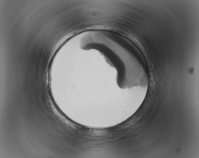 X0000115171095200912091017