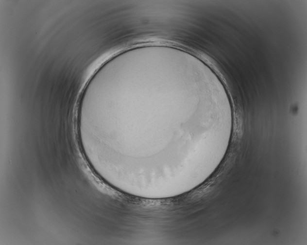 X0000115171098200912091017