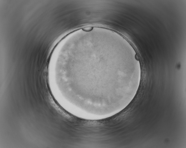 X0000115171100200912091017