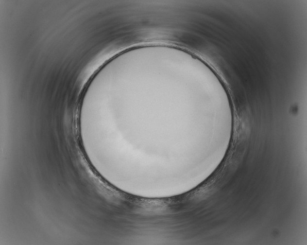 X0000115171101200912091017