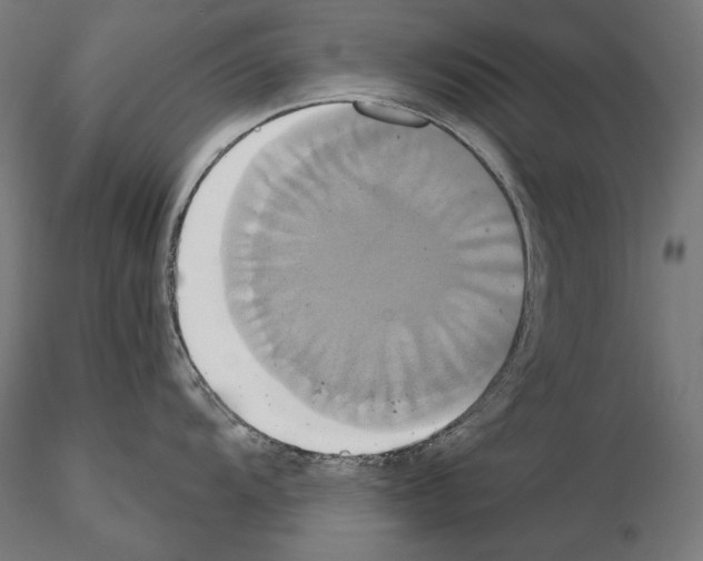 X0000115171104200912091017