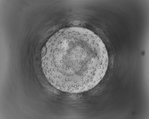 X0000115171105200912091016