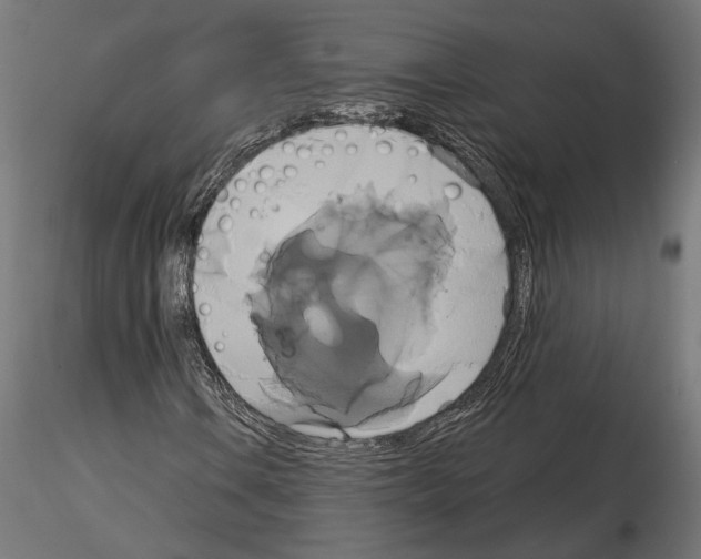 X0000115171106200912091017