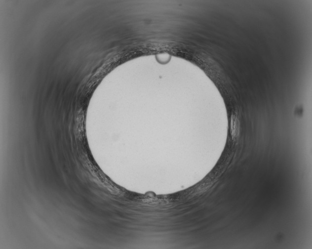 X0000115171107200912091017