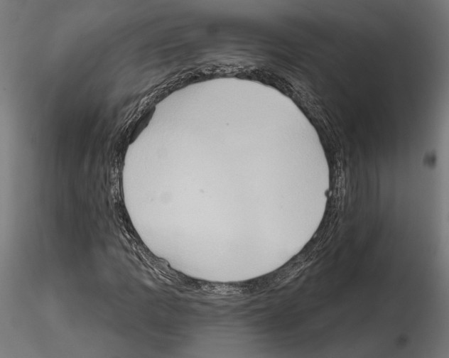 X0000115171109200912091017