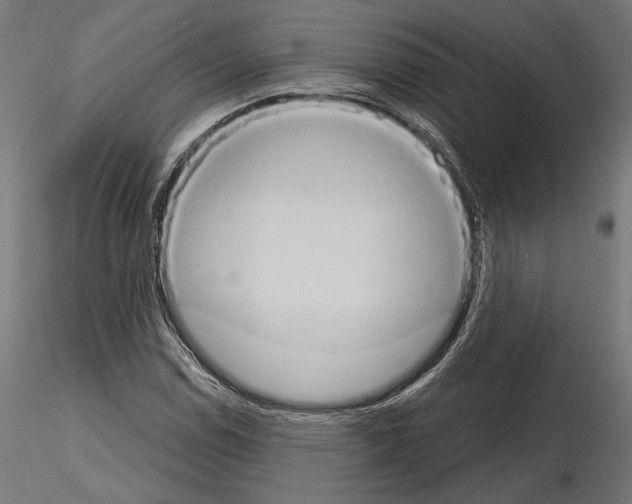 X0000115171114200912091017