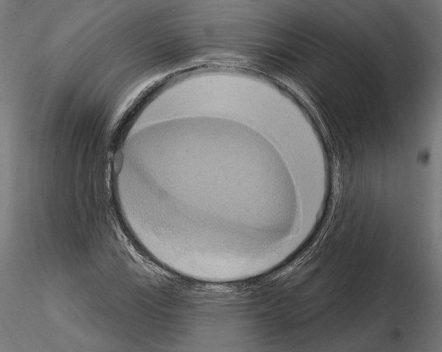 X0000115171115200912091017