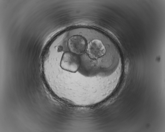 X0000115171117200912091017