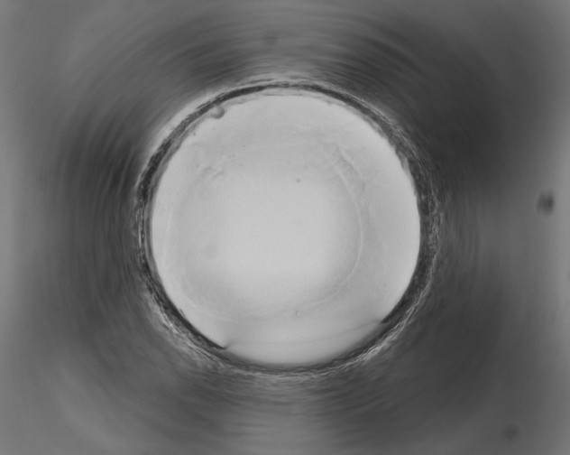 X0000115171118200912091017