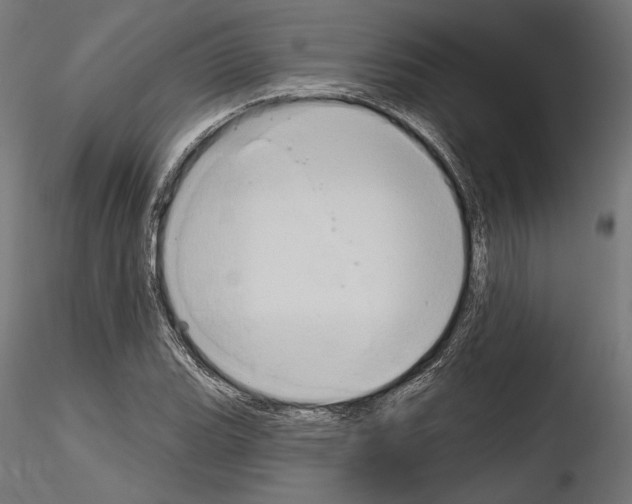 X0000115171119200912091017