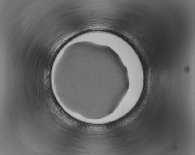 X0000115171121200912091017