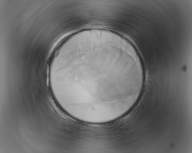 X0000115171123200912091017