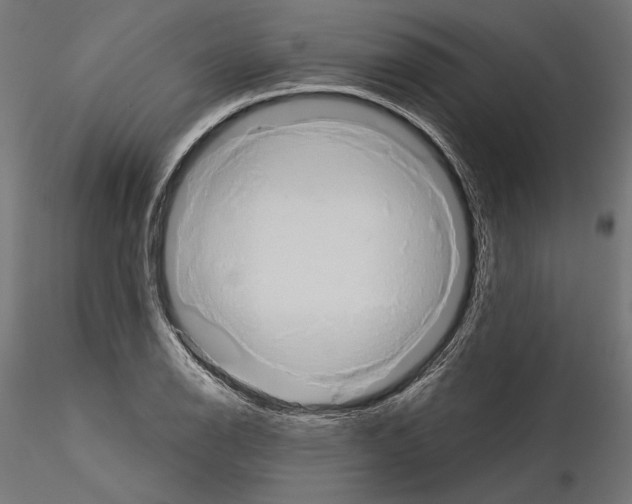 X0000115171126200912091017