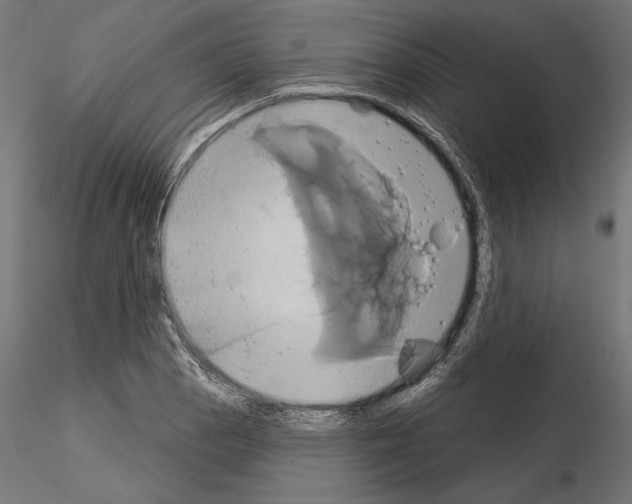 X0000115171129200912091017