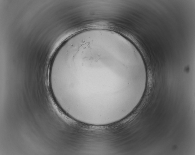 X0000115171131200912091017