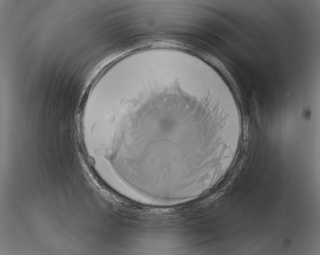 X0000115171133200912091017