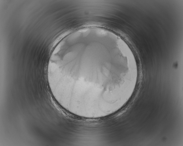 X0000115171137200912091017