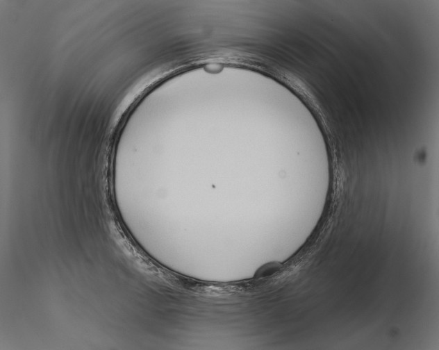 X0000115171138200912091017