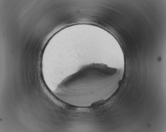 X0000115171142200912091017