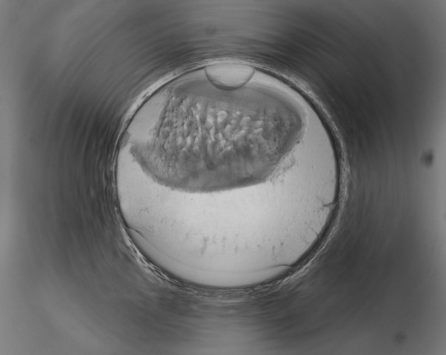 X0000115171145200912091017