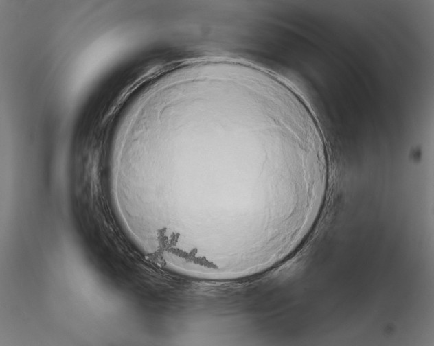 X0000115171150200912091017