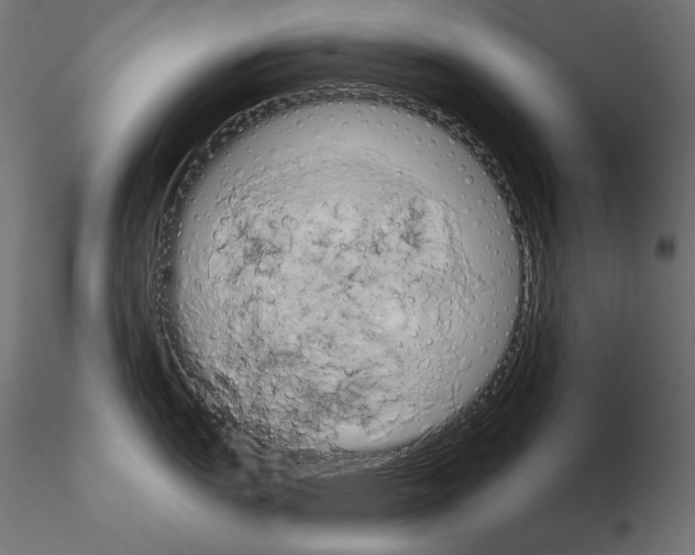 X0000115171151200912091017