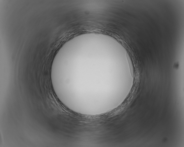 X0000115171153200912091016