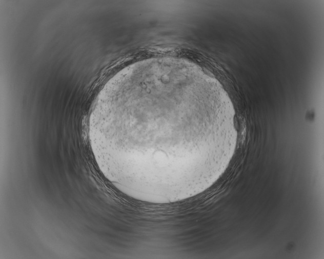 X0000115171156200912091016