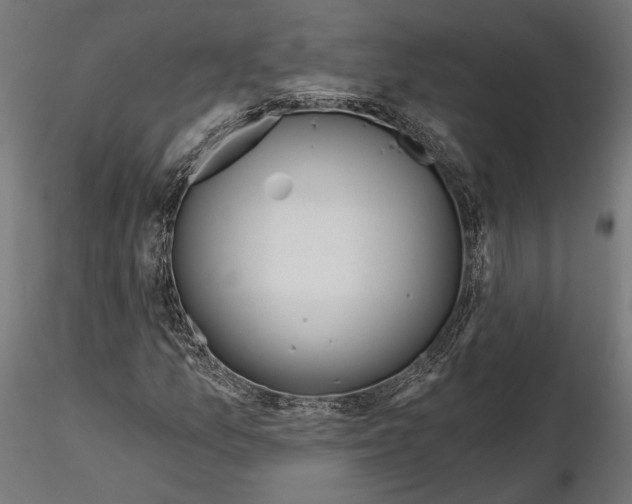 X0000115171157200912091016