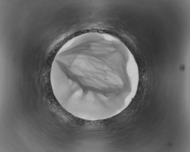 X0000115171159200912091016