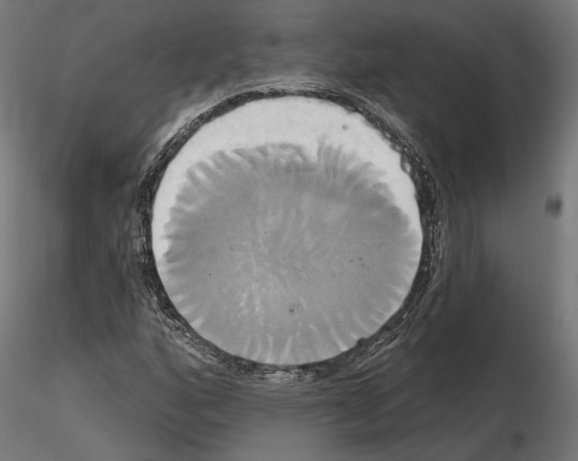 X0000115171160200912091016