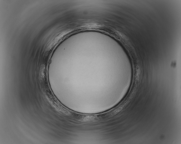 X0000115171161200912091016