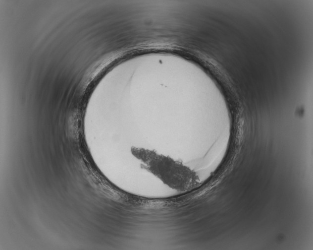 X0000115171162200912091016