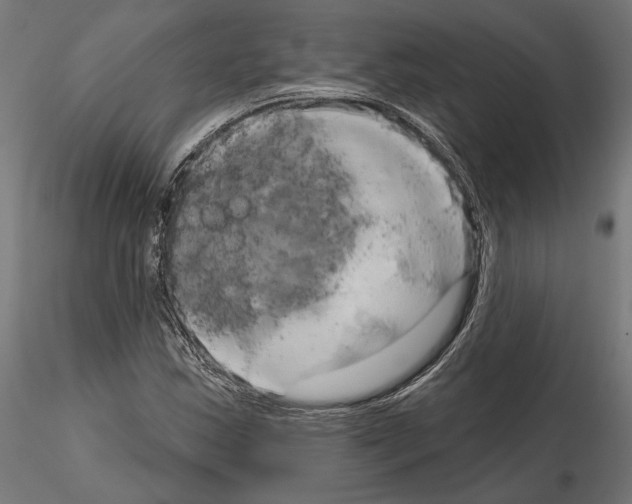 X0000115171163200912091016